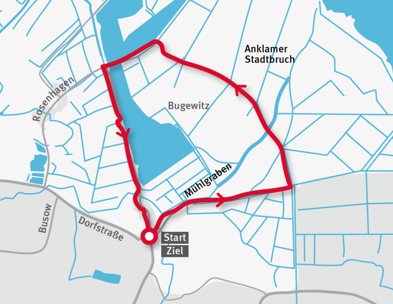 Naturnahes Peenetal: Wanderung durch das Anklamer Stadtbruch